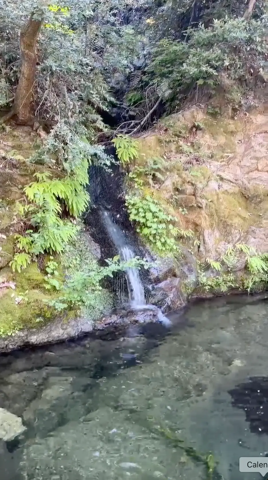 Small waterfall to find your bliss in nature, with moss, rock, and green ferns